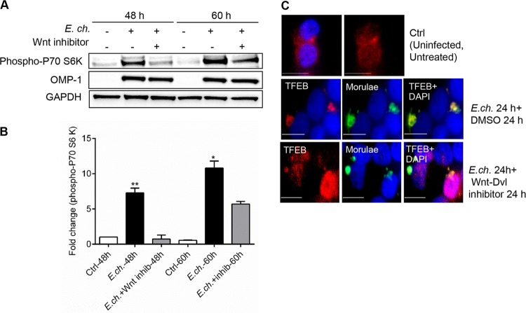 FIG 4