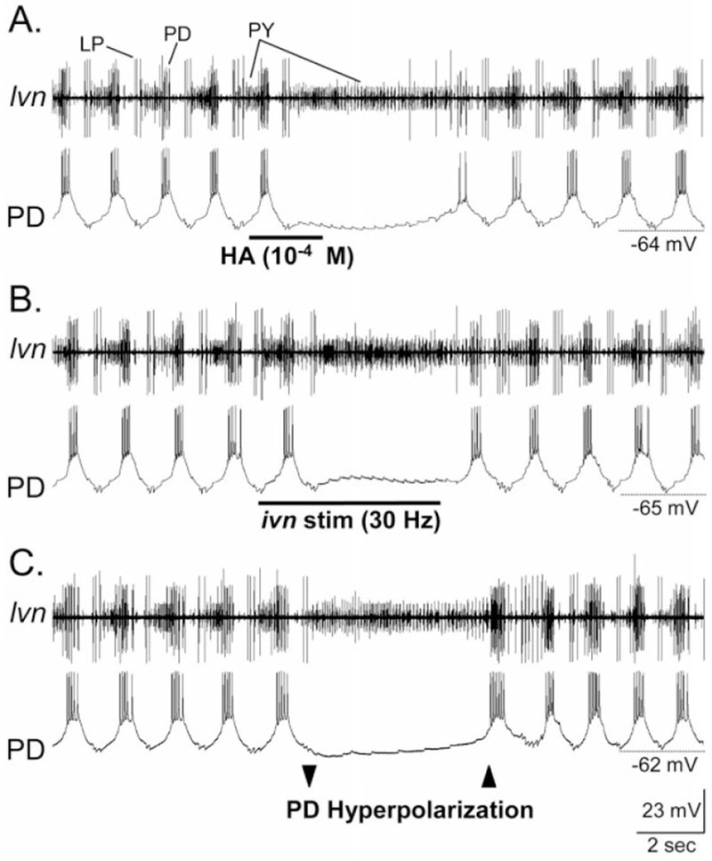 Fig. 6.