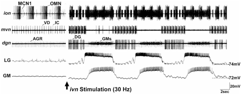 Fig. 8.