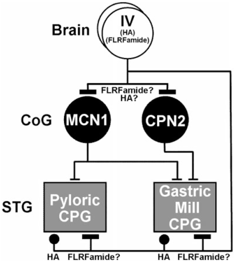 Fig. 10.