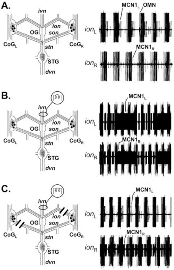 Fig. 9.