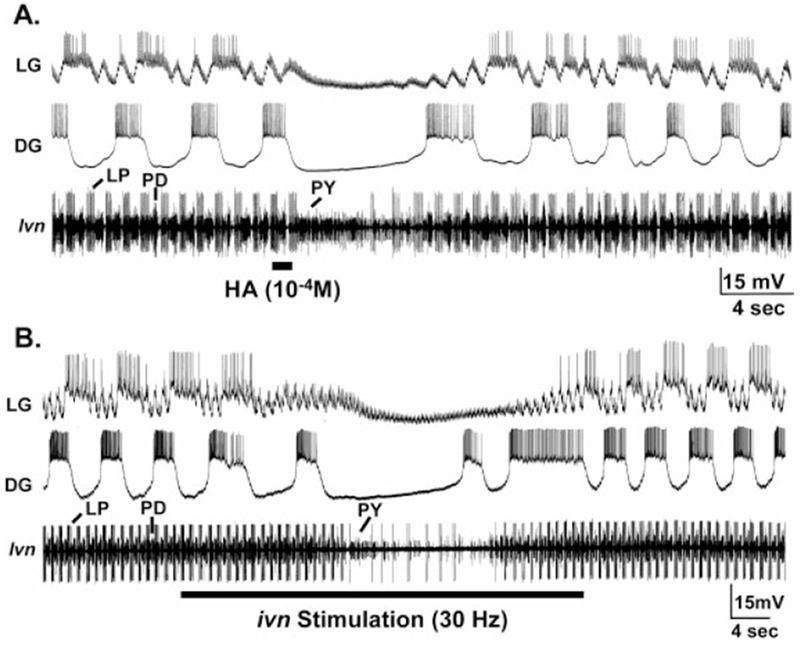 Fig. 7.