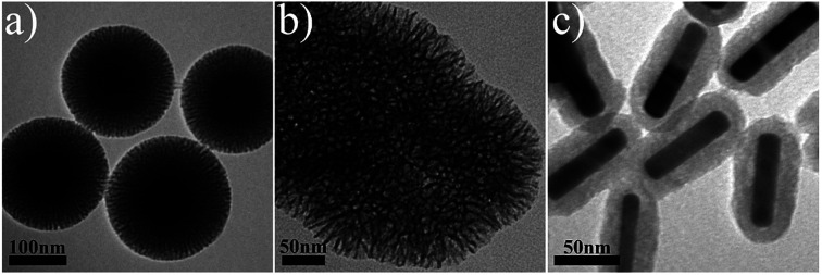 Fig. 5