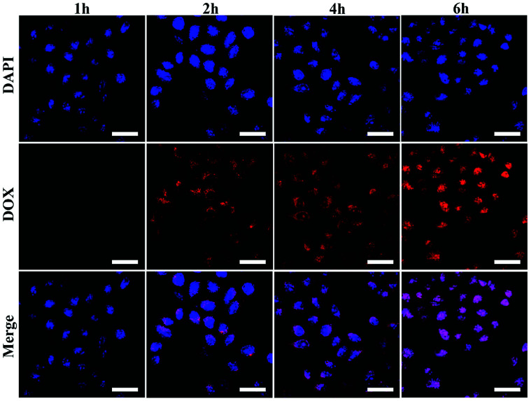 Fig. 9