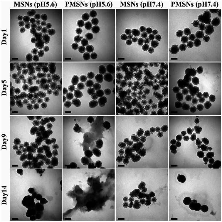 Fig. 6