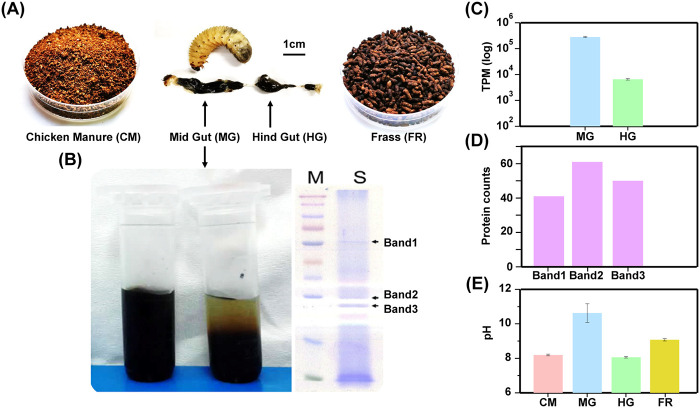 FIG 1