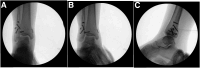 Fig 7