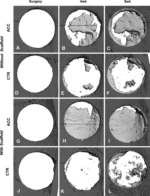 Fig. 4A–L