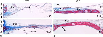 Fig. 6A–B