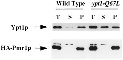 FIG. 6