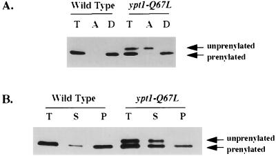 FIG. 7