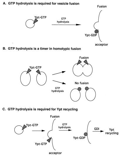 FIG. 10