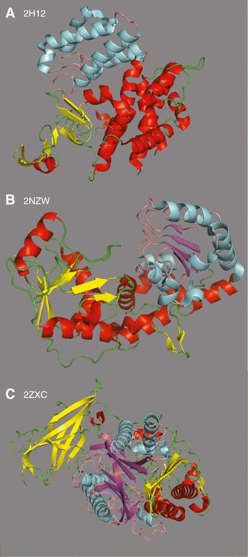 Figure 4