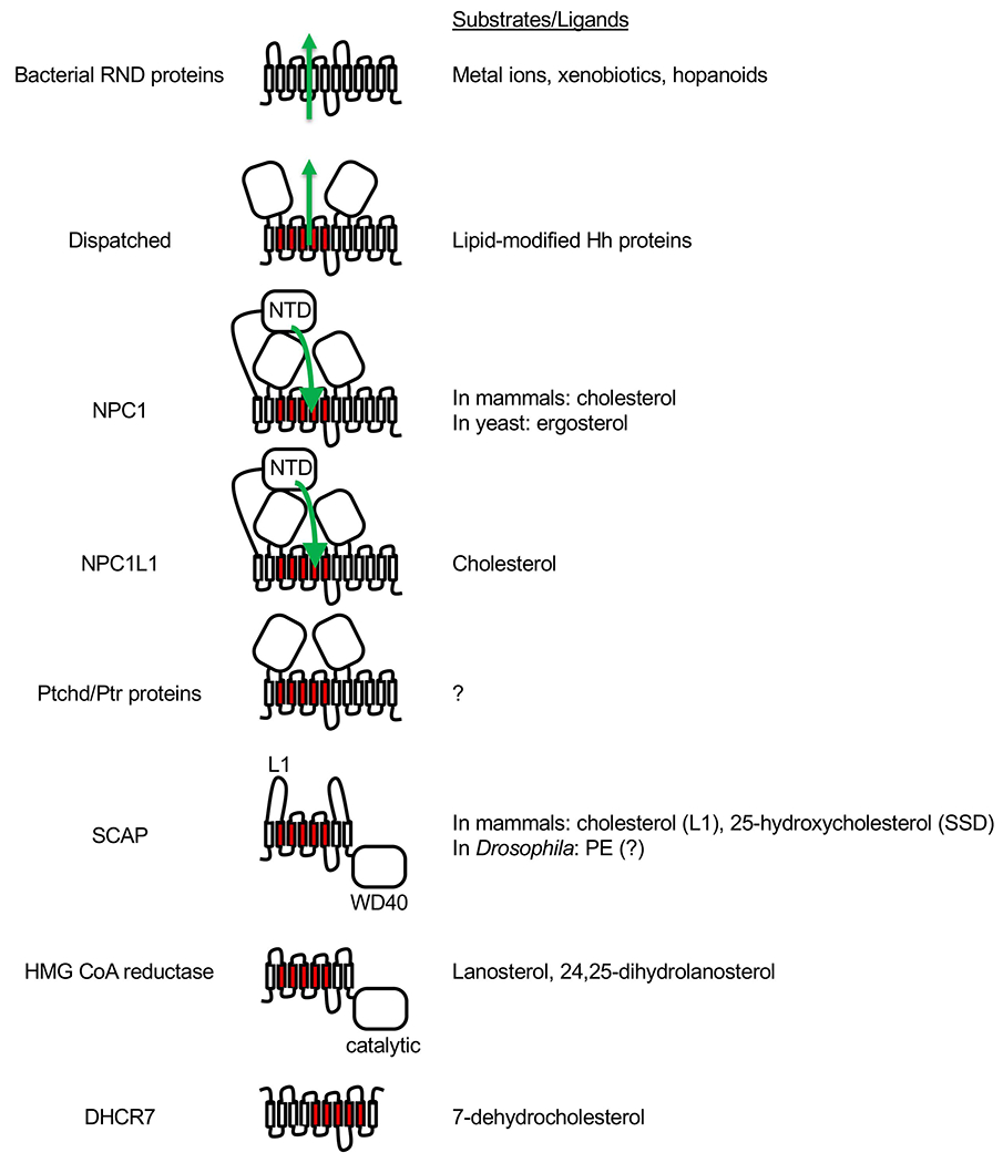 Fig. 6.