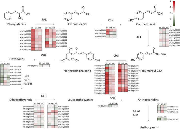 FIGURE 4