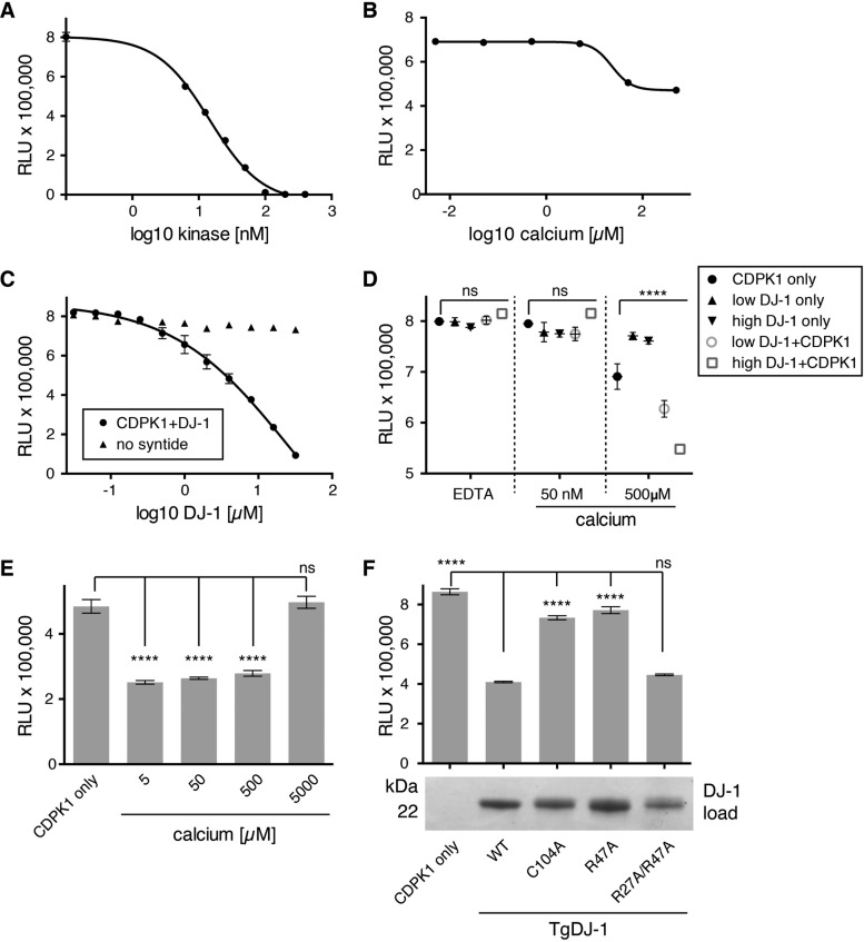 FIG 3 