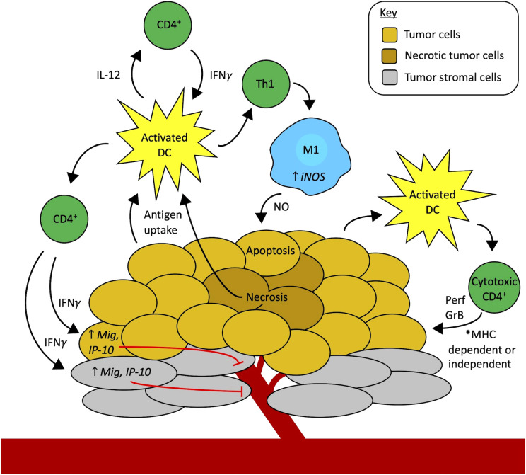 Figure 1