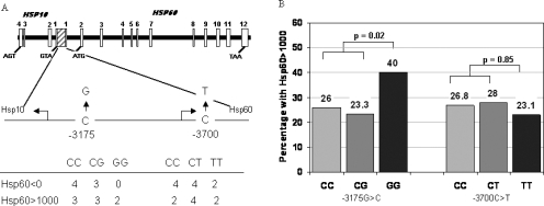 Fig 4.