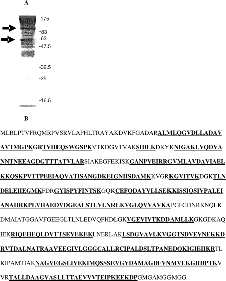 Fig 2.