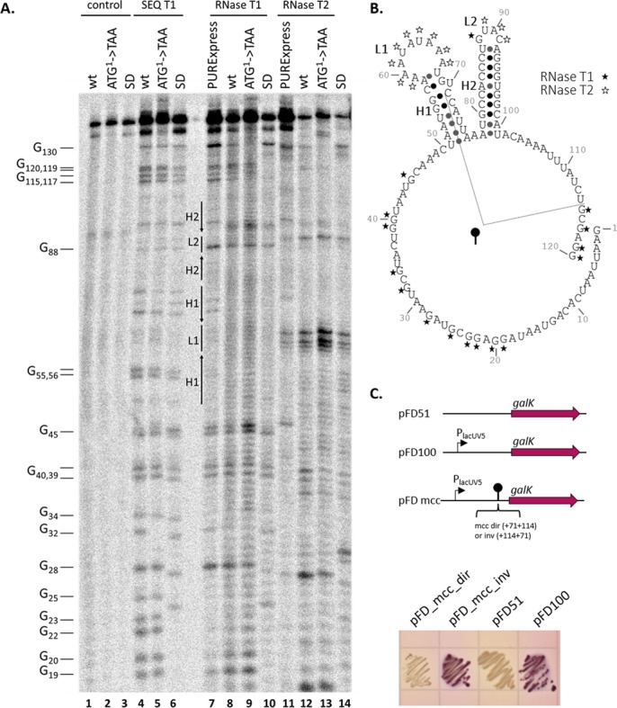 Figure 6.