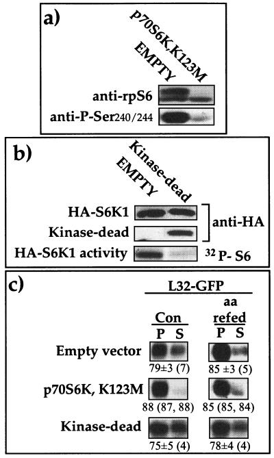 FIG. 5