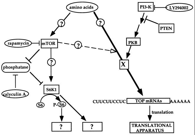 FIG. 11