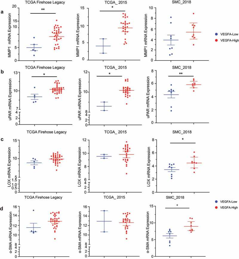 Results from mining TCGA data to identify changes in enzymes and fibroblast marker mRNA in treatment naïve triple negative human breast cancers with high and low VEGF.