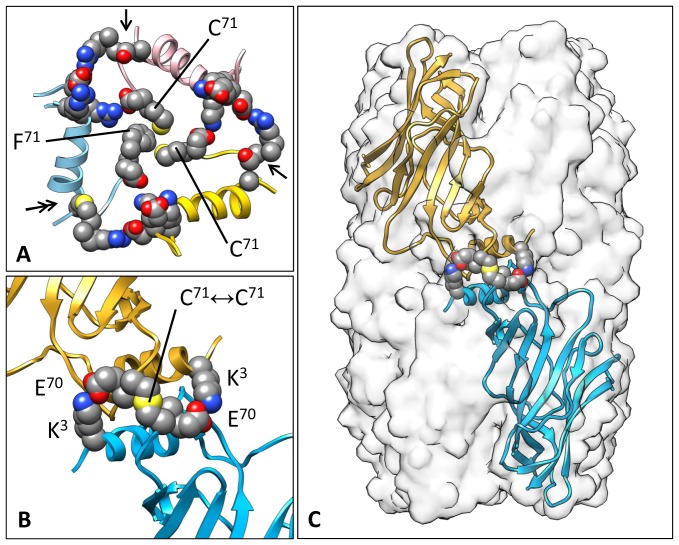 Figure 11