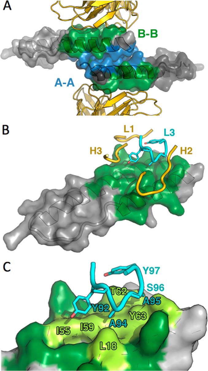 FIGURE 5.