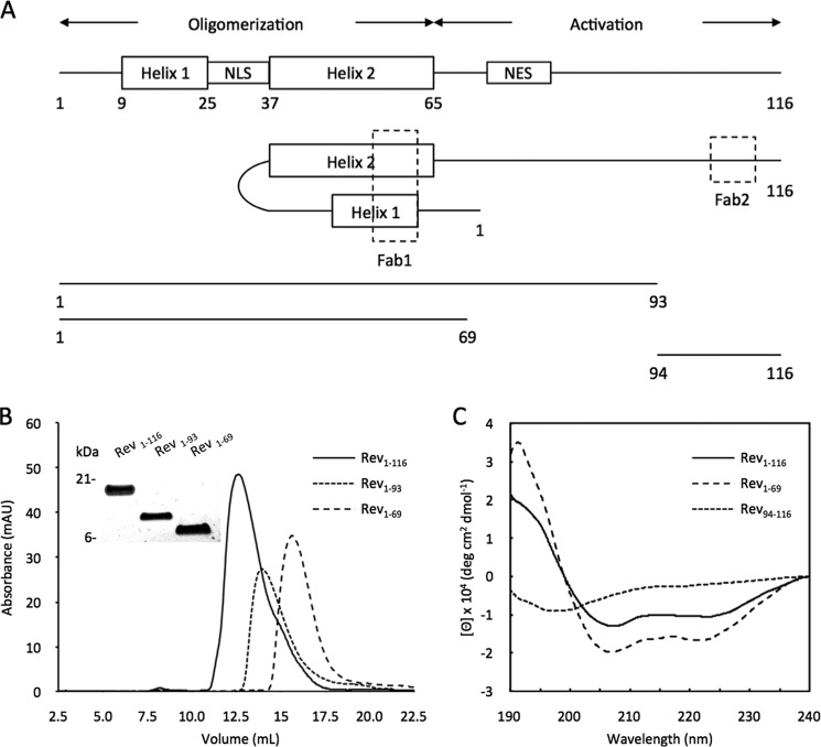 FIGURE 1.