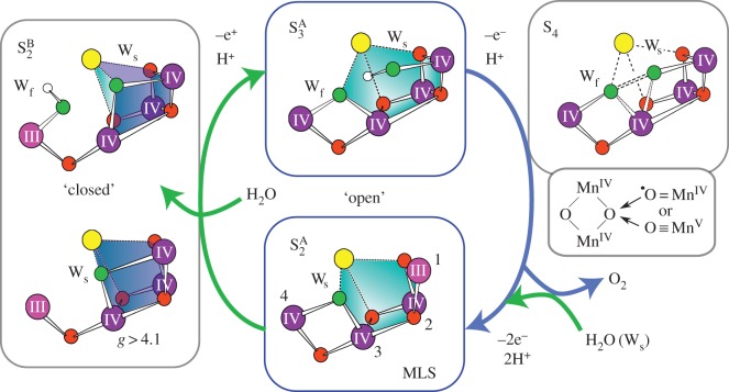 Figure 6.