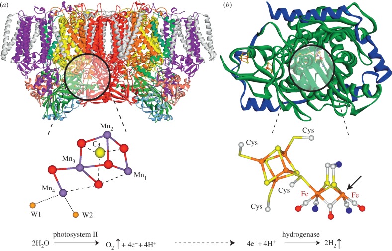 Figure 2.