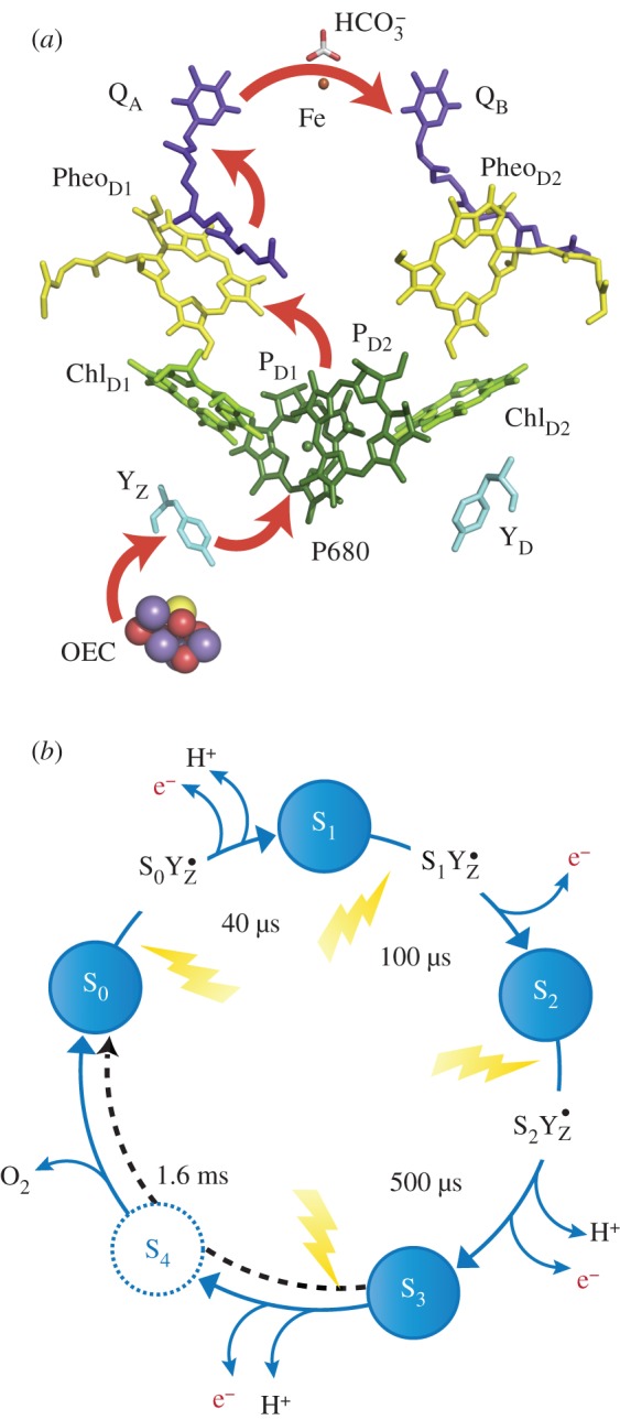 Figure 3.