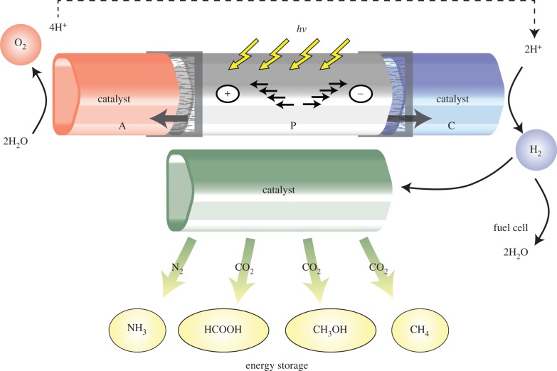 Figure 1.