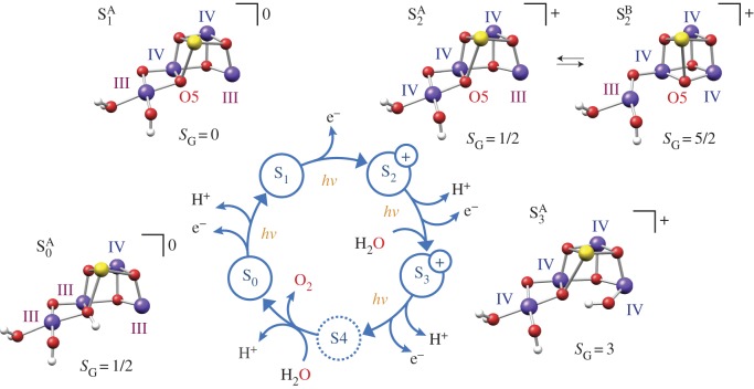 Figure 4.