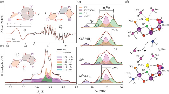 Figure 5.