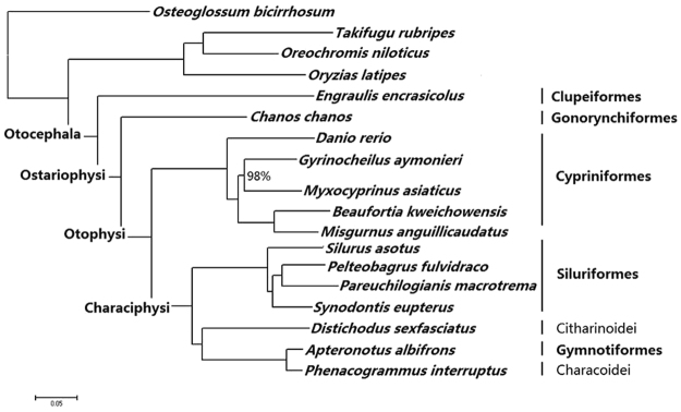 Figure 2