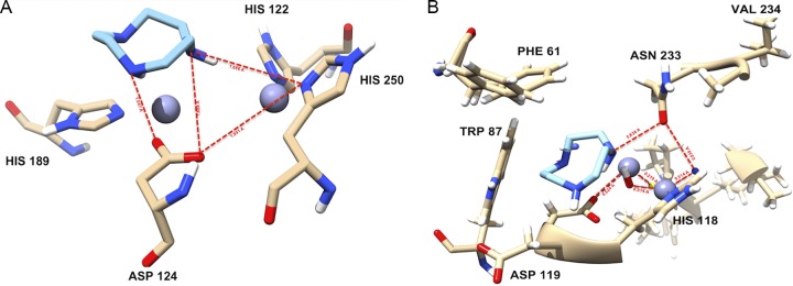 FIG 7