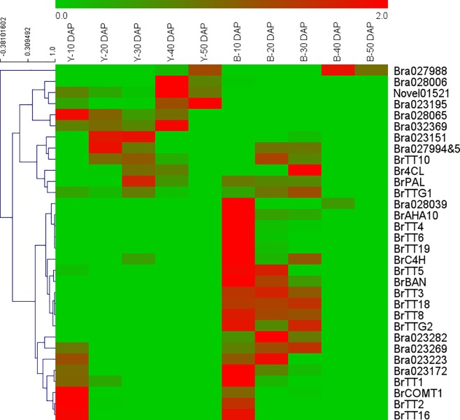 Fig 5