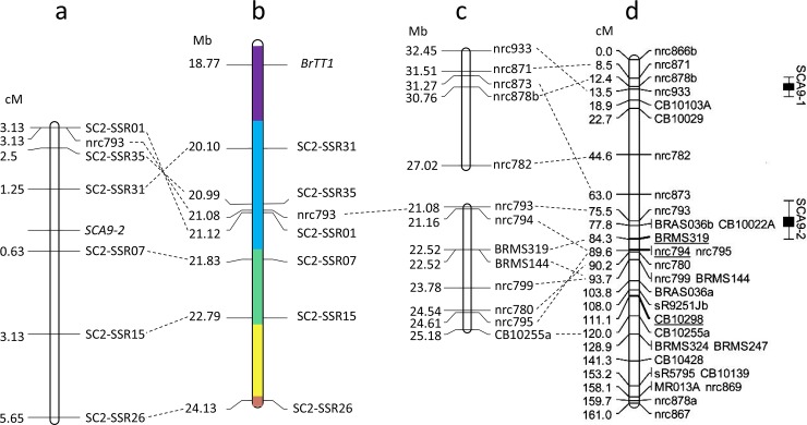 Fig 2