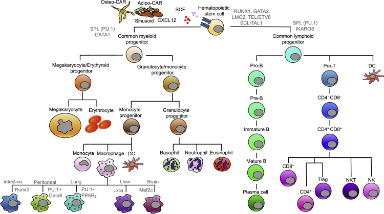 Figure 3