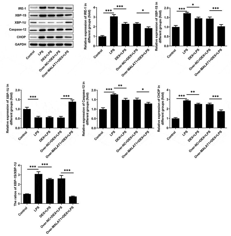 Figure 5.