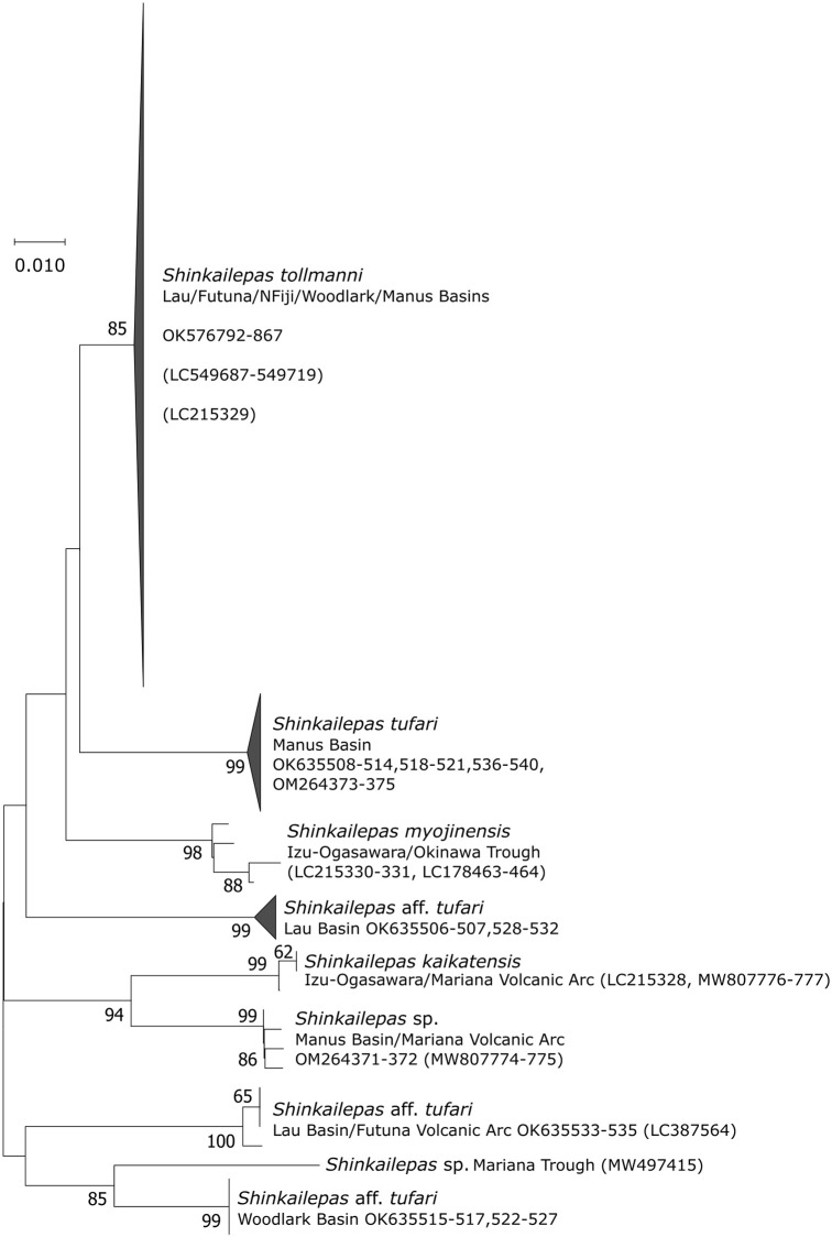 Fig 6