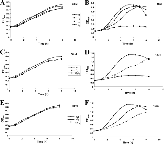 FIG. 2.