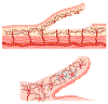 Fig. 3.