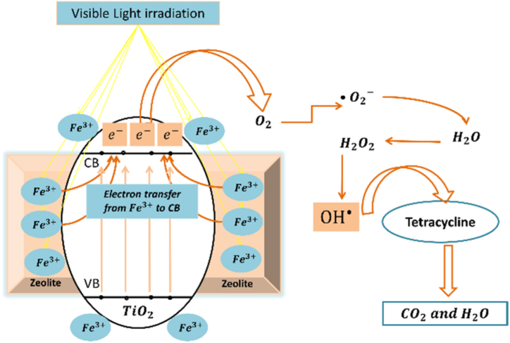 Fig. 10