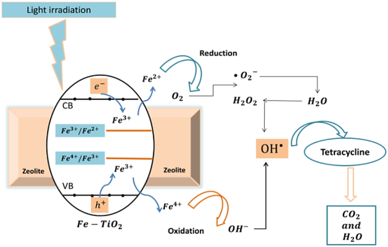 Fig. 14