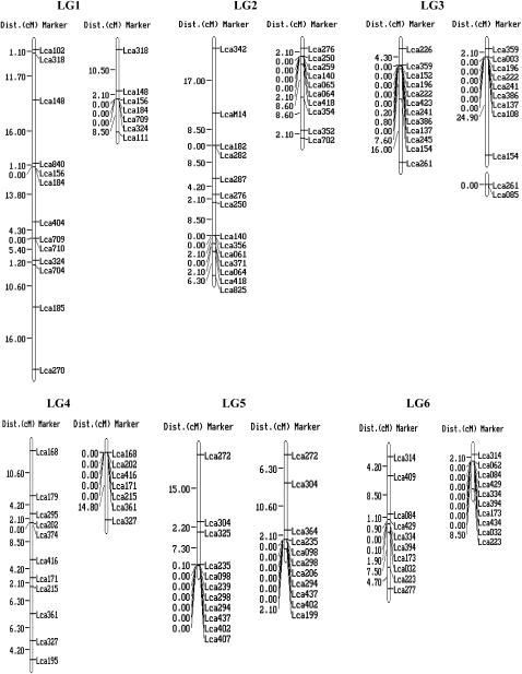 Figure 1.—