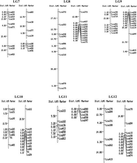 Figure 1.—