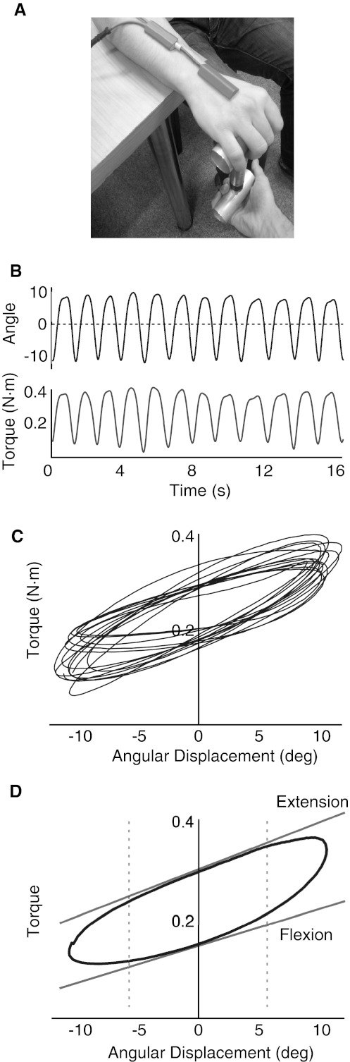 Fig. 1